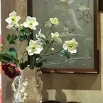 Logis Saint-flaceau Bed & Breakfast