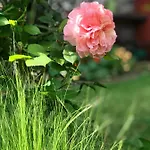 Logis Saint-flaceau Le Mans