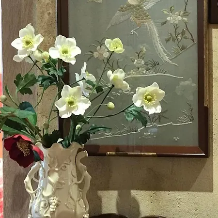 Logis Saint-flaceau Bed & Breakfast