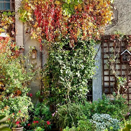 Bed & Breakfast Logis Saint-flaceau