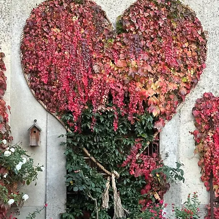 Frühstückspension Logis Saint-flaceau 4*