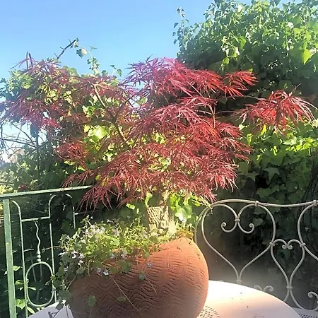 Logis Saint-flaceau 4* Le Mans