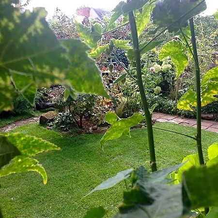 Logis Saint-flaceau Alojamento de Acomodação e Pequeno-almoço Le Mans