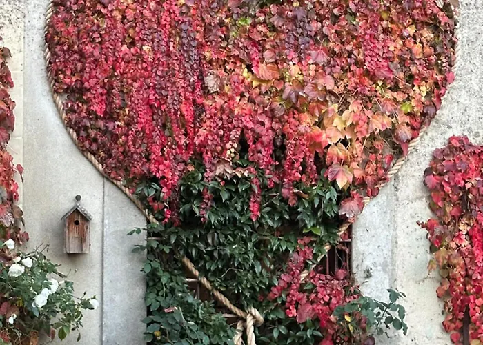 Bed & Breakfast Logis Saint-flaceau 4*